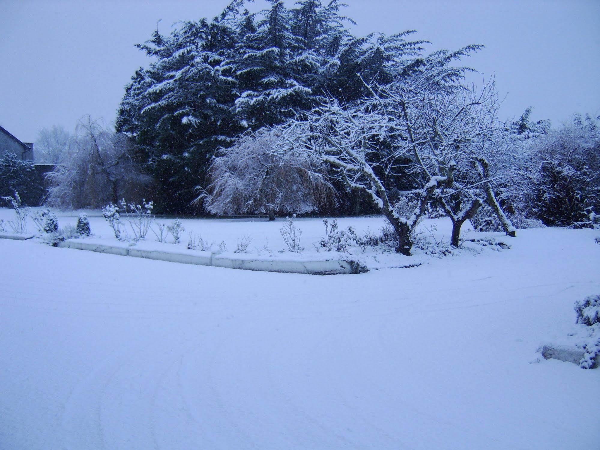 Frühstückspension The Gardens Killarney